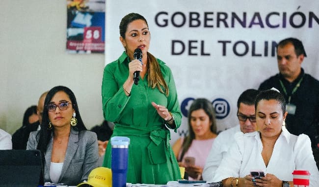 El Consejo Departamental declara calamidad pública por fiebre amarilla en el Tolima