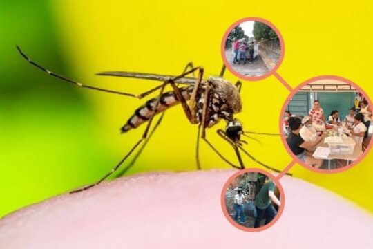 Melgar Refuerza Acciones para Mantenerse Libre de la Fiebre Amarilla