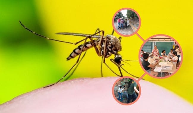 Melgar Refuerza Acciones para Mantenerse Libre de la Fiebre Amarilla